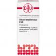 OLEUM TEREBINTHINAE D 20 Globuli Ind.Fert.