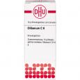OLIBANUM C 6 Globuli Ind.Fert.