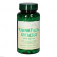 OLIVENBLÄTTER+Crataegus Bios Kapseln