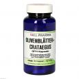 OLIVENBLÄTTER+Crataegus GPH Kapseln