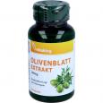 OLIVENBLÄTTER Extrakt 500 mg Kapseln