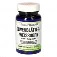 OLIVENBLÄTTER+Weißdorn GPH Kapseln