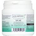 OPC TRAUBENKERNEXTRAKT 400 mg Vegi- Kapseln