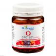 OPC120 plus Acerola 120 mg reines OPC Kapseln