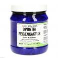 OPUNTIA FEIGENKAKTUS Kapseln