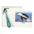 ORCA Wal Anhänger
