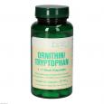 ORNITHIN/TRYPTOPHAN 1:1 Bios Kapseln
