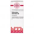 ORTHOSIPHON STAMINEUS D 8 Globuli Ind.Fert.