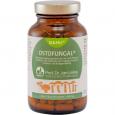OSTOFUNGAL Kapseln