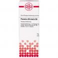 PAEONIA OFFICINALIS D 6 Dilution