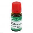 PAEONIA OFFICINALIS LM 18 Dilution