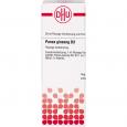 PANAX GINSENG D 3 Dilution