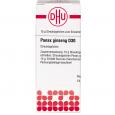 PANAX GINSENG D 30 Globuli