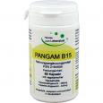 PANGAM Vitamin B15 Kapseln
