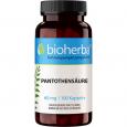 PANTOTHENSÄURE 60 mg Kapseln