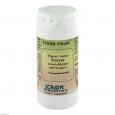 PAPAYA ANANAS Enzym Icron Vitala Kautabletten