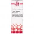 PAREIRA BRAVA D 12 Dilution