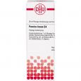 PAREIRA BRAVA D 4 Dilution