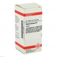 PAREIRA BRAVA D 6 Tabletten