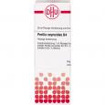 PERILLA OCYMOIDES D 4 Dilution