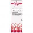 PERILLA OCYMOIDES D 6 Dilution