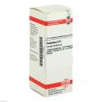 PETASITES D 6 Dilution