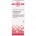 PETROSELINUM D 4 Dilution
