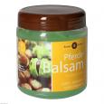 PFERDEBALSAM Roßkastanie vital