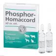 PHOSPHOR HOMACCORD ad us.vet.Ampullen