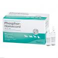 PHOSPHOR HOMACCORD ad us.vet.Ampullen