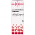 PHOSPHORUS C 6 Dilution