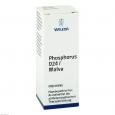 PHOSPHORUS D 24/Malva Mischung