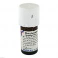PHOSPHORUS D 6 Dilution