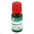 PHOSPHORUS LM 12 Dilution