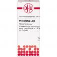 PHOSPHORUS LM III Dilution