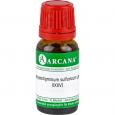 PHYSOSTIGMINUM SULFURICUM LM 36 Dilution