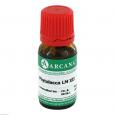 PHYTOLACCA LM 12 Dilution