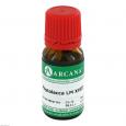 PHYTOLACCA LM 18 Dilution
