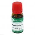 PHYTOLACCA LM 6 Dilution