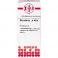 PHYTOLACCA LM XXIV Globuli Ind.Fert.