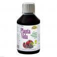 PLANTA VIDA Saft
