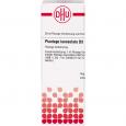 PLANTAGO LANCEOLATA D 3 Dilution