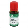 PLATINUM METALLICUM LM 6 Dilution