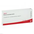 PLEXUS BRACHIALIS GL D 5 Ampullen