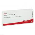 PLEXUS COELIACUS GL D 6 Ampullen
