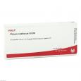 PLEXUS COELIACUS GL D 8 Ampullen