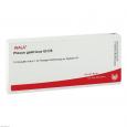 PLEXUS GASTRICUS GL D 5 Ampullen