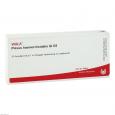 PLEXUS HAEMORRHOIDALIS GL D 5 Ampullen