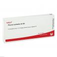 PLEXUS LUMBALIS GL D 6 Ampullen