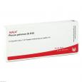 PLEXUS PELVINUS GL D 30 Ampullen